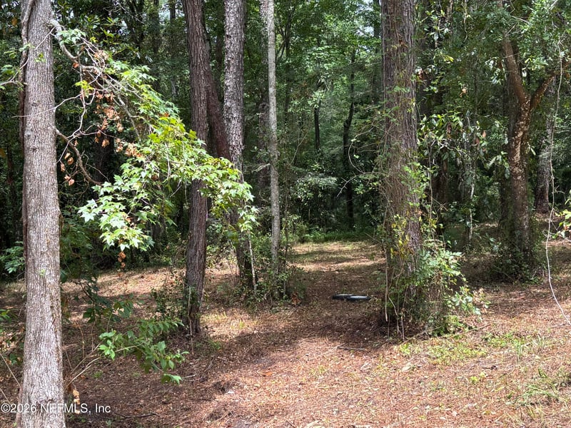 4819 Gopher Cir, Middleburg, FL 32068