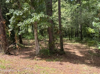 4819 Gopher Cir, Middleburg, FL 32068