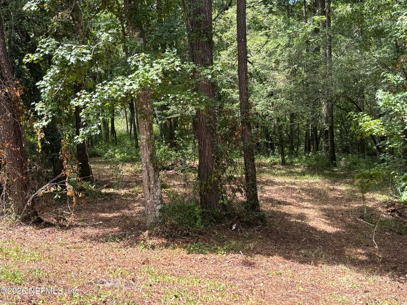 4819 Gopher Cir, Middleburg, FL 32068