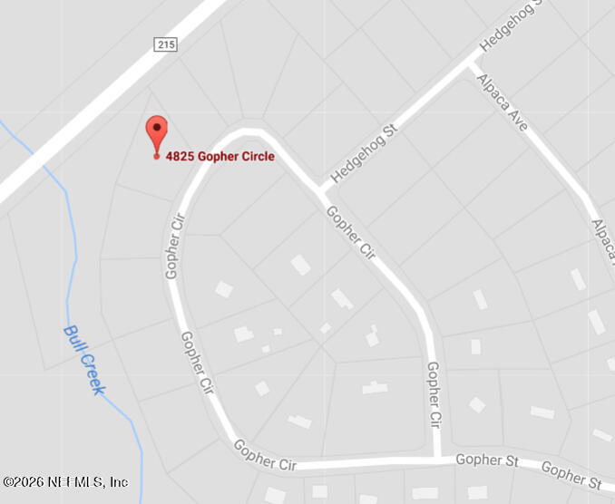 4825 Gopher Cir, Middleburg, FL 32068