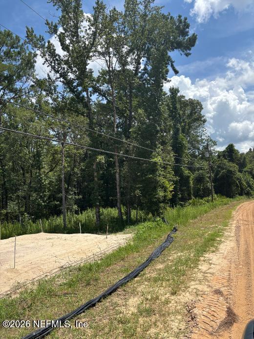 4831 Sedge St, Middleburg, FL 32068