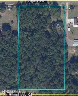4843 Alligator Blvd, Middleburg, FL 32068