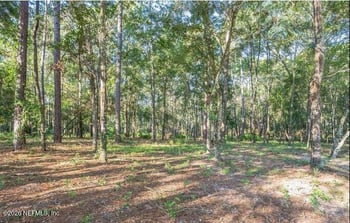 4843 Alligator Blvd, Middleburg, FL 32068