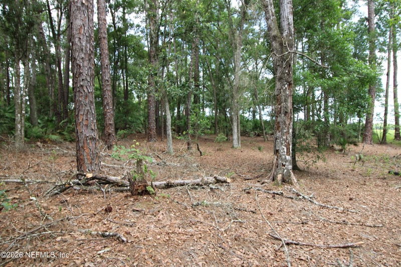 5020 Chester St, Hastings, FL 32145