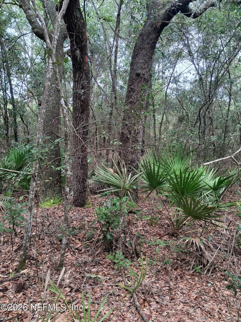5210 Co Rd 214, Keystone Heights, FL 32656