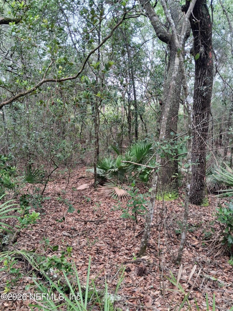 5210 Co Rd 214, Keystone Heights, FL 32656