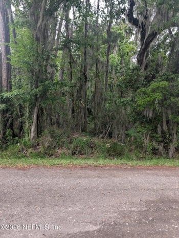 5219 Chicory Cir, Middleburg, FL 32068