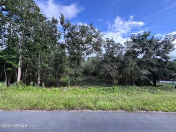 5235 Chicory Cir, Middleburg, FL 32068