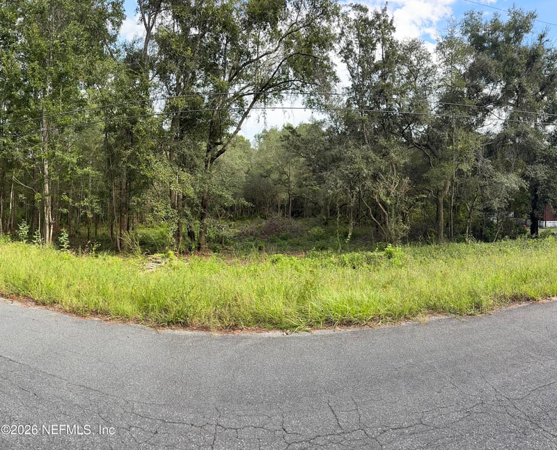 5235 Chicory Cir, Middleburg, FL 32068