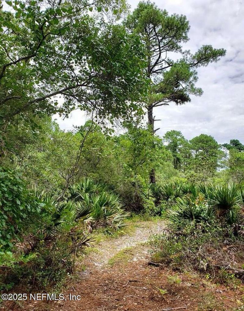 5251 Pine Dr, St Augustine, FL 32095