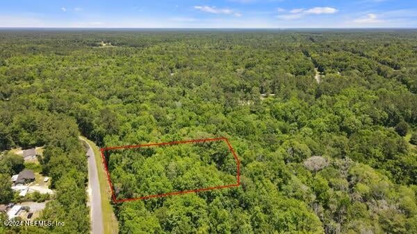 5291 Chicory Cir, Middleburg, FL 32068