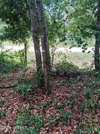 5377 Custer St, Keystone Heights, FL 32656