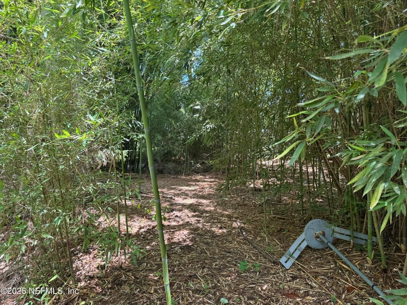 54575 Vikki Rd, Callahan, FL 32011