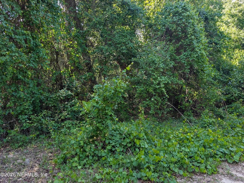 5523 Capulin St, Keystone Heights, FL 32656