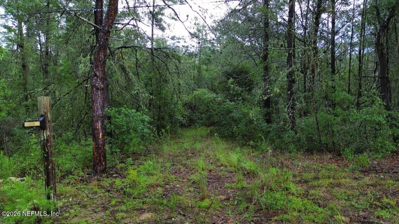 5528 Campo Dr, Keystone Heights, FL 32656