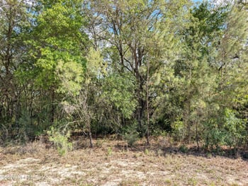 5535 Lassen St, Keystone Heights, FL 32656