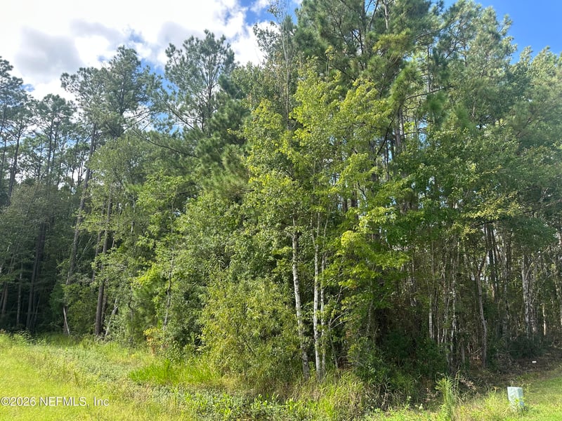 55354 Yellow Jacket Dr, Callahan, FL 32011