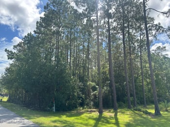 55354 Yellow Jacket Dr, Callahan, FL 32011