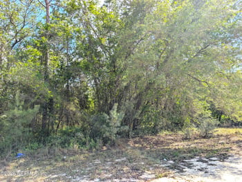 5537 Lassen St, Keystone Heights, FL 32656