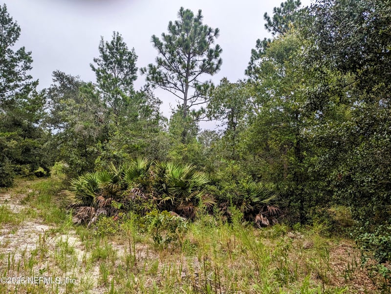 5572 Deerlodge Ct, Keystone Heights, FL 32656