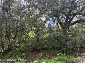 56063 Nassau Oaks Dr, Callahan, FL 32011