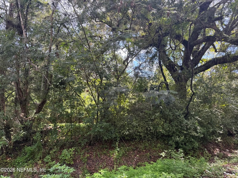 56063 Nassau Oaks Dr, Callahan, FL 32011