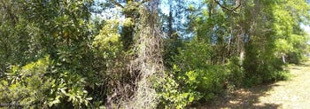 5627 Gilchrist Rd, Jacksonville, FL 32219