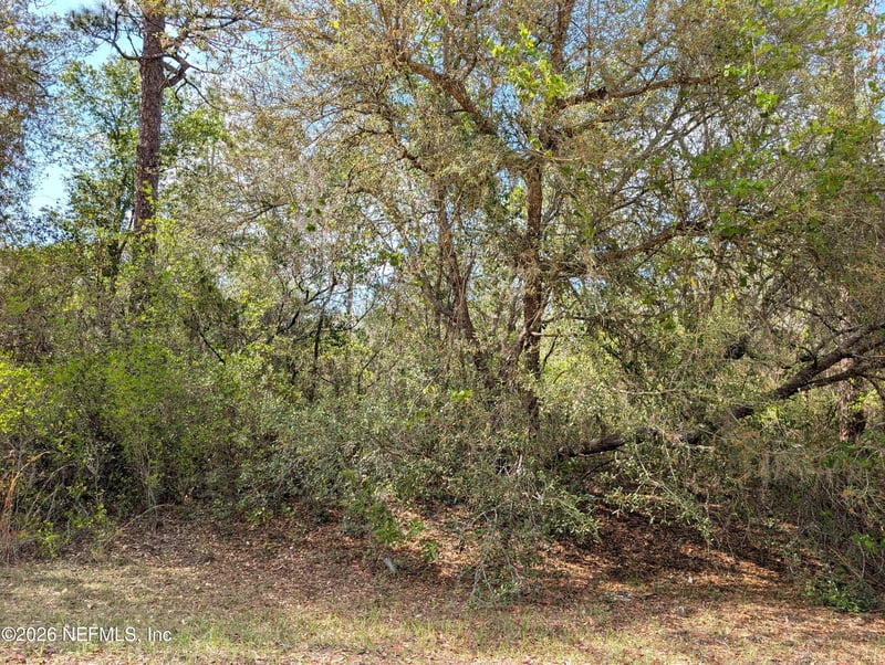 5813 Bryce St, Keystone Heights, FL 32656