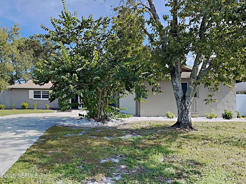 589 William Ellery St, Orange Park, FL 32073