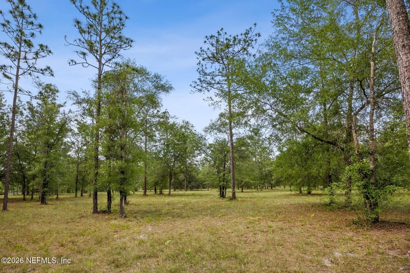 6015 Plantation Ct, Keystone Heights, FL 32656