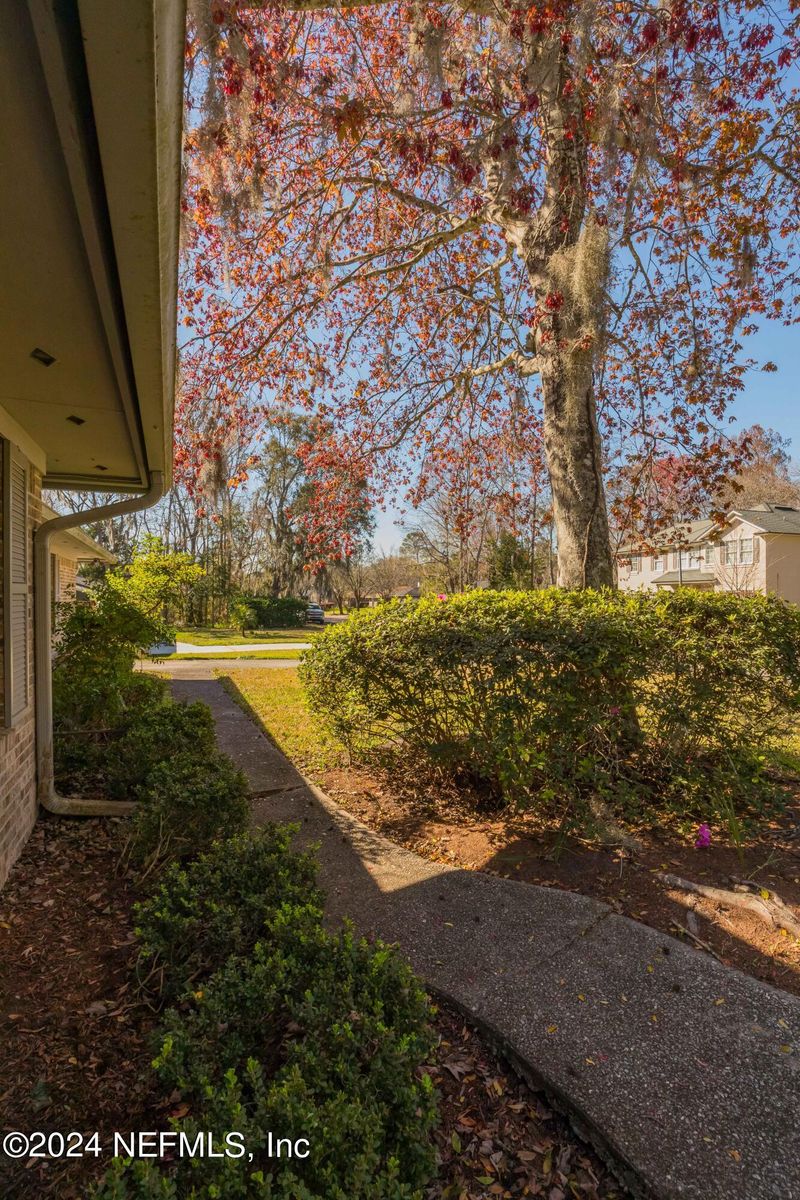 602 Morgan St, Orange Park, FL 32073