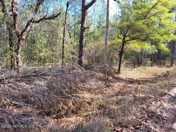6040 Furman Ave, Keystone Heights, FL 32656
