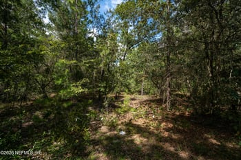 6104 Juilliard, Keystone Heights, FL 32656