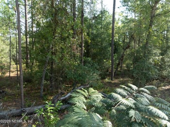6118 Furman Ave, Keystone Heights, FL 32656