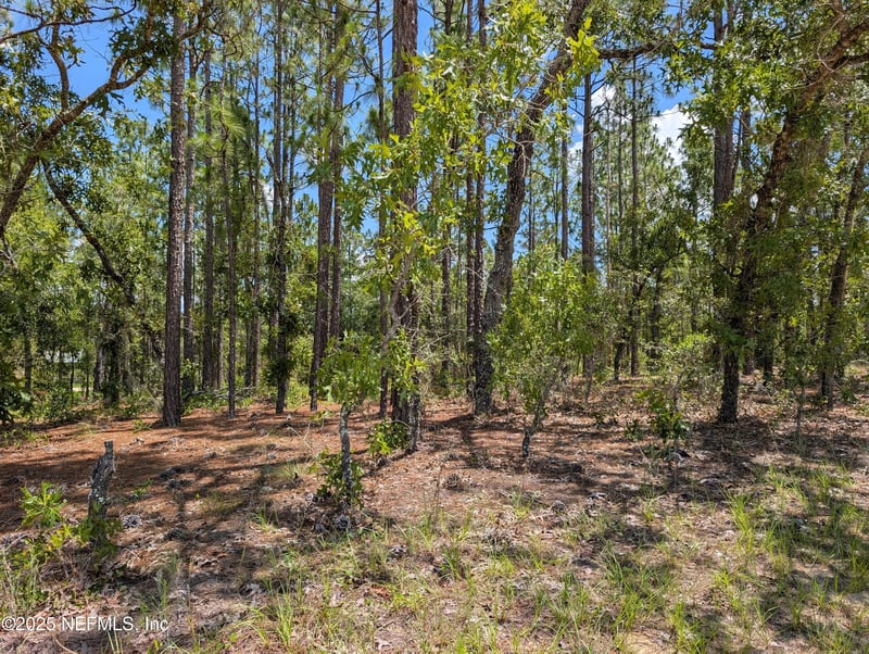 6218 Emory Ave, Keystone Heights, FL 32656