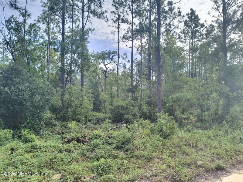 6238 Northwestern Ave, Keystone Heights, FL 32656