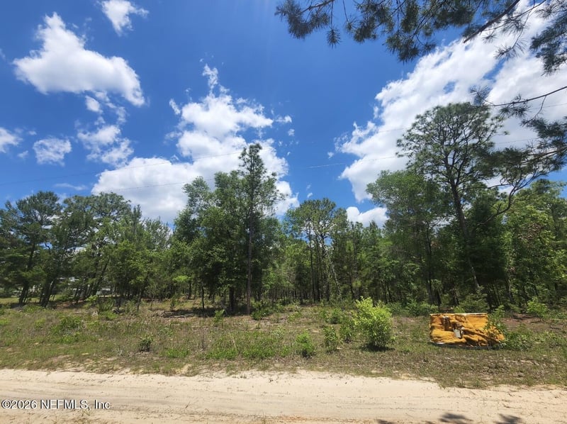 6362 Alliance Ave, Keystone Heights, FL 32656