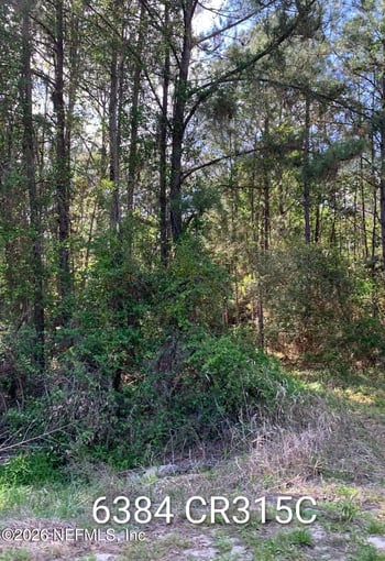6384 County Road 315, Keystone Heights, FL 32656