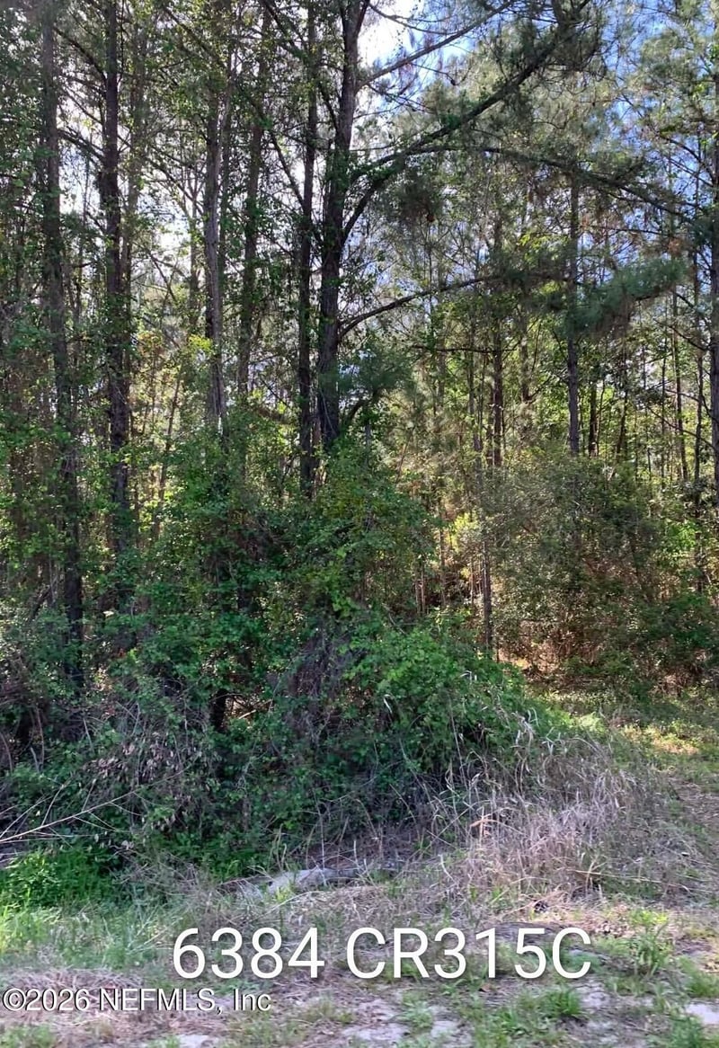 6384 County Road 315, Keystone Heights, FL 32656