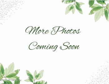 663 Wells Landing Dr, Orange Park, FL 32073
