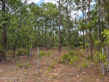 6730 Spanish Moss Dr, Keystone Heights, FL 32656