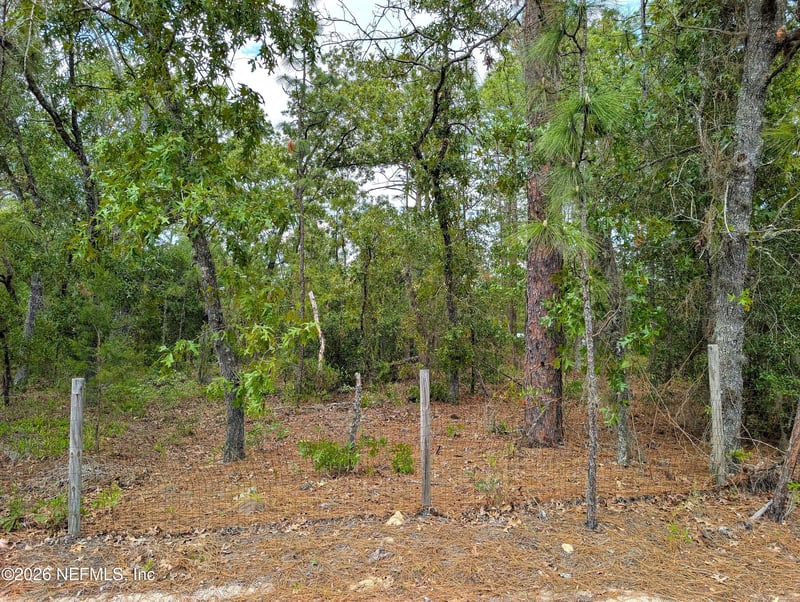 6730 Spanish Moss Dr, Keystone Heights, FL 32656