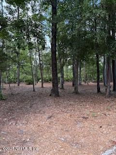 6941 Catlett Rd, St Augustine, FL 32095