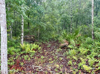 6985 Woodward Rd, St Augustine, FL 32092