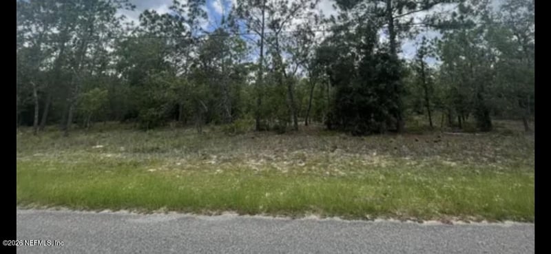 7154 Wesleyan Rd, Keystone Heights, FL 32656
