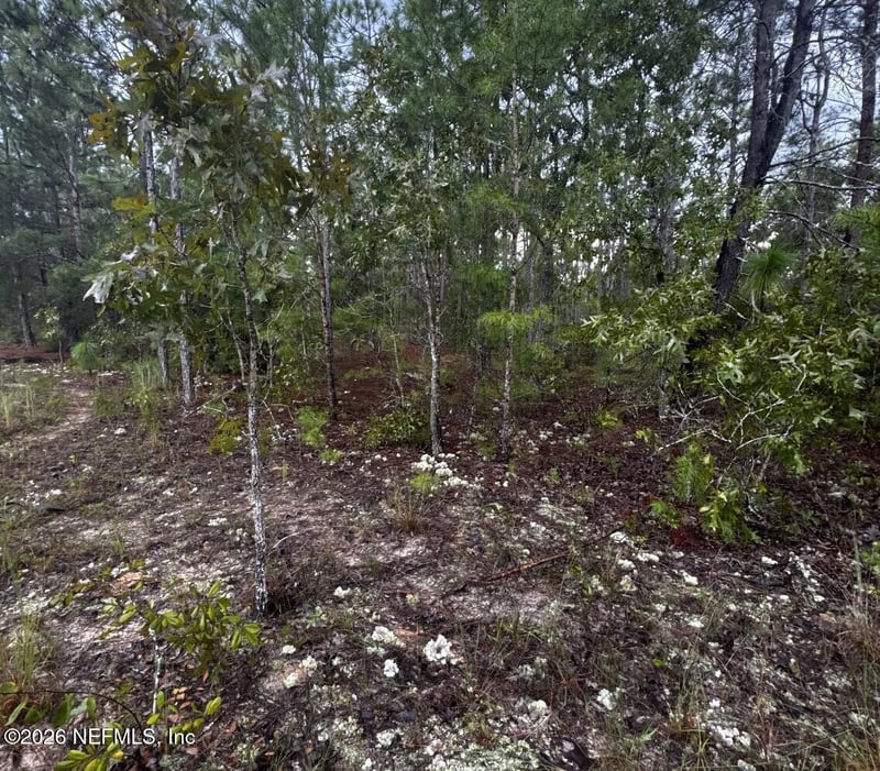 7176 Rutgers St, Keystone Heights, FL 32656
