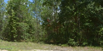 7223 Duke St, Keystone Heights, FL 32656