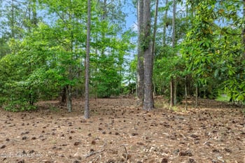 744 Fair Oaks Ln, Fruit Cove, FL 32259