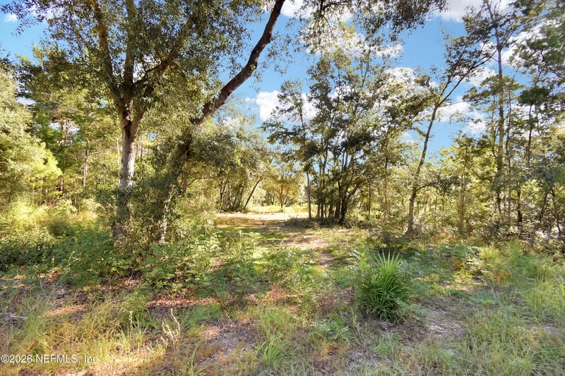 7455 Rye Ct, Keystone Heights, FL 32656