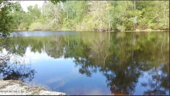 7617 Reed St, Jacksonville, FL 32208
